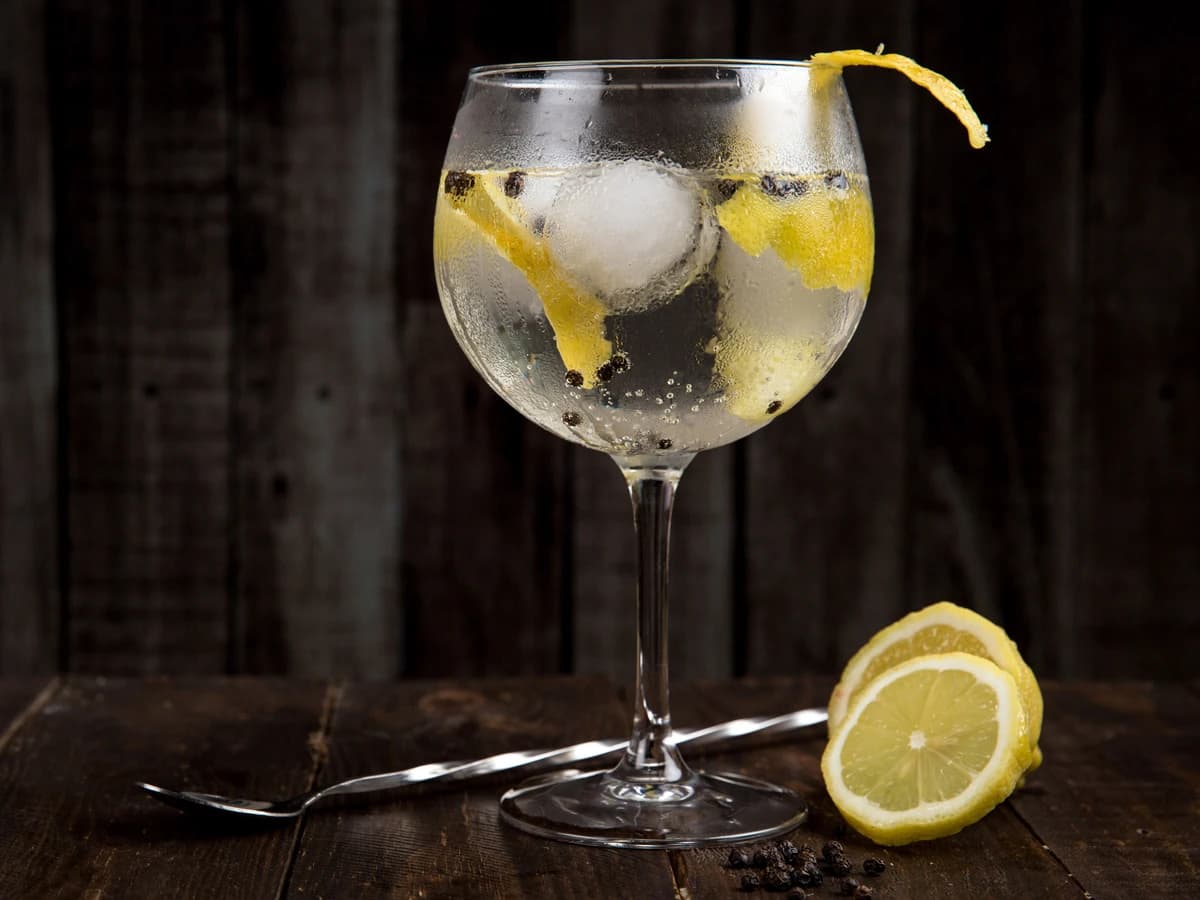 A Gin and Tonic in a highball glass with a lime wedge and bubbles rising